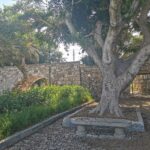 Insel Kos Reise Bild 100