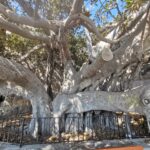 Insel Kos Reise Bild 102