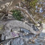 Insel Kos Reise Bild 103
