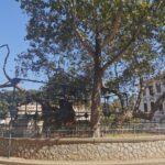 Insel Kos Reise Bild 104