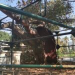 Insel Kos Reise Bild 105