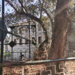 Insel Kos Reise Bild 106