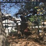 Insel Kos Reise Bild 107