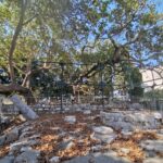 Insel Kos Reise Bild 109
