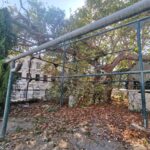 Insel Kos Reise Bild 111