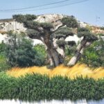 Insel Kos Reise Bild 123