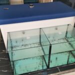 Insel Kos Reise Bild 130