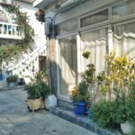 Insel Kos Reise Bild 140