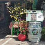 Insel Kos Reise Bild 170