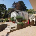 Insel Kos Reise Bild 174