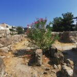 Insel Kos Reise Bild 181