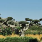 Insel Kos Reise Bild 2