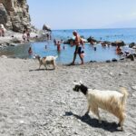 Insel Kos Reise Bild 222