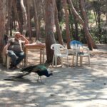 Insel Kos Reise Bild 240