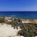 Insel Kos Reise Bild 259