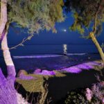 Insel Kos Reise Bild 30