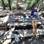 Insel Kos Reise Bild 322