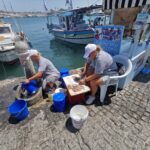 Insel Kos Reise Bild 57
