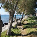 Insel Kos Reise Bild 7